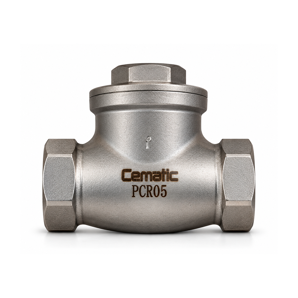 316 Stainless Steel NPT Threaded Swing Check Valve