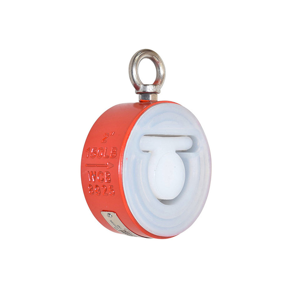 Wafer Swing Check Valve Anti-Corrosive WCB | PFA Lined | Horizontal & Vertical | ½" to 4"