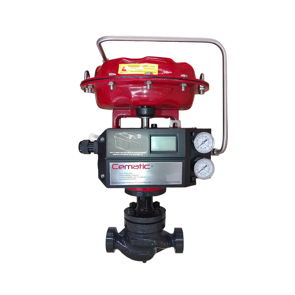 Steam Control Valve NPT Thread Port