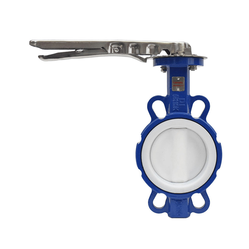 Wafer Butterfly Valve Seat and Disc SS304 + Teflon