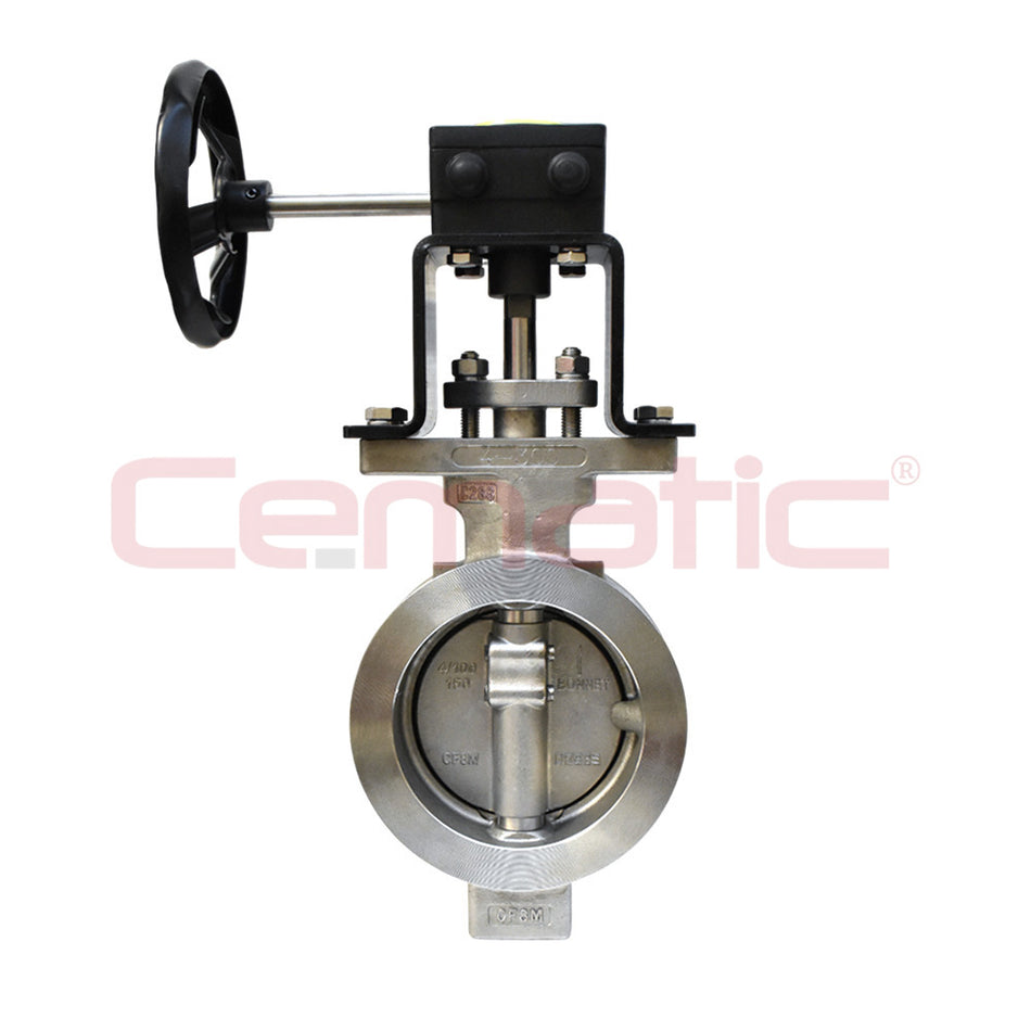 Class 300 Double Eccentricity High Performance Butterfly Valve